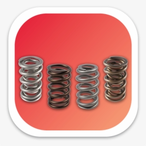 Engine Valve Springs - Suspension
