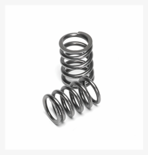 Single Valve Spring - Spr H1003s