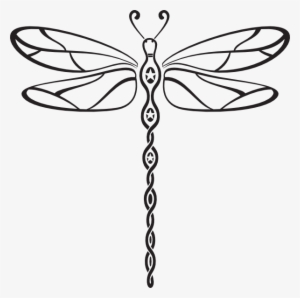 Fly Drawing Dragonfly - Dreams And Nightmares Of A Menopausal Woman