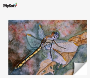 Product Blog - Artwall Derek Mccrea 'dragonfly' Gallery-wrapped Canvas