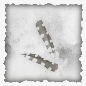 Picture - Signs And Symptoms Of Adhd