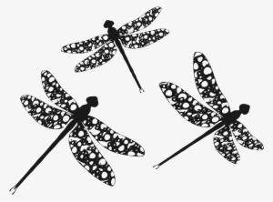 Clipart Dragonfly Transparent