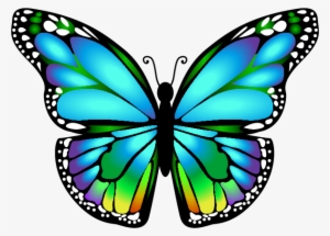 Butterfly Mariposa Ms - Butterfly Clip Art
