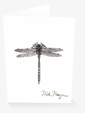 Dragonfly V=1524851225 - Dragonfly