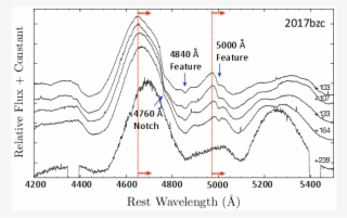 Page Divider Path To Perfection - Pan Del Cielo