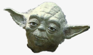 Report Abuse - Yoda Expressions