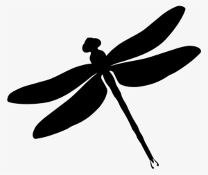 Vector Library Library Vector Dragonfly Black And White - Dragonflies Silhouette Free Clipart