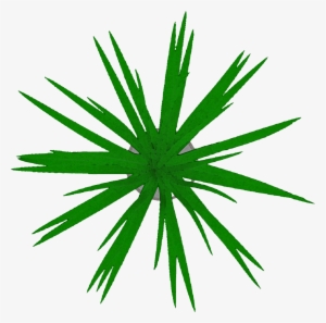 Top View Pot Plant Cutout - Cannabis