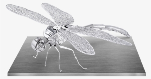 $9 - - 3d Metal Model Dragonfly