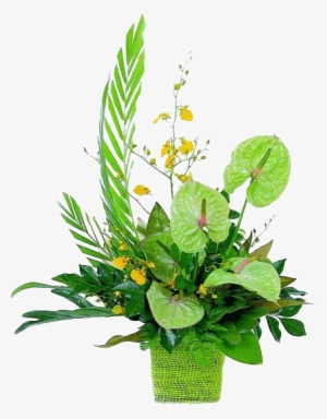 Tropical Flowers Bb Exotic Gardens - St Patrick Day Floral Arrangements