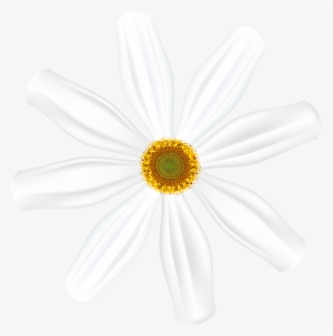 Black And White Flower Png