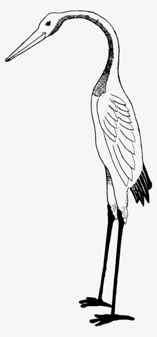 Big Image - Stork Clipart White And Black