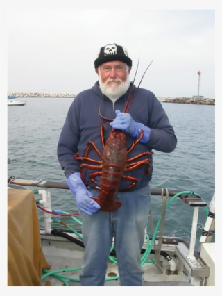 Kenny Nielsen [8 Images] Click Any Image To Expand - American Lobster