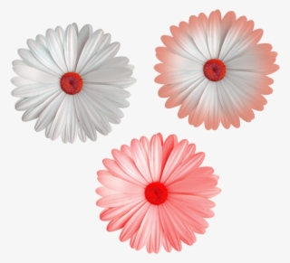 Cool Flower Png File White Color Mix Colors Flowers - Cream Cheese