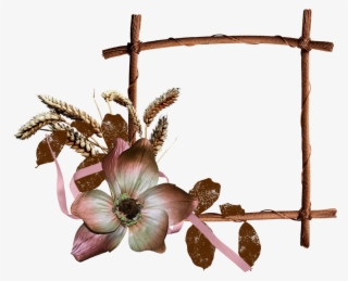 B *✿*strawberry Chocolate - Documents In World History: The Great Traditions -