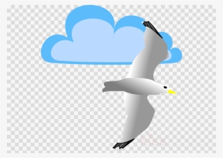 Gaviota Animada Png Clipart Gulls Bird Clip Art - Clip Art