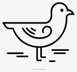 Seagull Coloring Page - Drawing