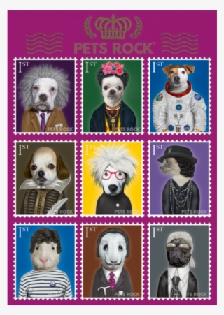 Pusle Pets Rock - Schmidt Pets Rock Arts Premium Jigsaw Puzzle (1000