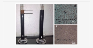 Stability Test Of Magnetic Fluid Filled In Measuring - Surfactant Protein B
