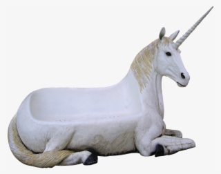 Image Cropped,unicorn,animal Magic,seat Of Unicorn,seat,free - Unicorn