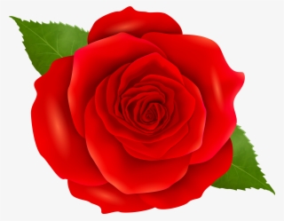 Red Roses Png
