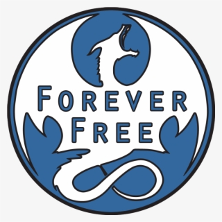 Author Images - Skyrim Forever Free