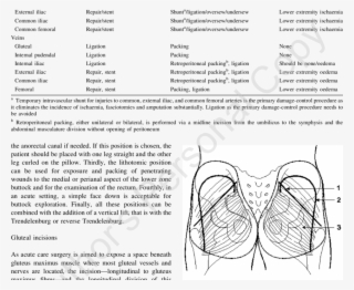 1 Simple Gluteal Incision, 2 Extended Gluteal Incision - Skin Incision Gluteal