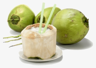 Fresh Coconut - Kelapa Muda Png