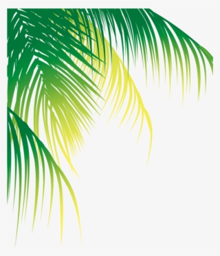 Report Abuse - Coconut Leaf Vector Png