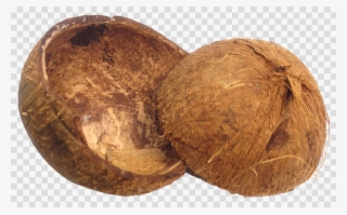 Coconut Shell Clipart Brass Broidered Coconut Shell - Buttons On Off Png