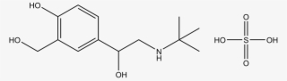 Salbutamol Sulfate 1g - Substance Theory