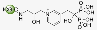 Select Optionsselect Options - P Coumaric Acid Structure