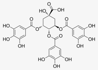 3,4,5 Tri O Galloylquinic Acid - Thyroxine T4