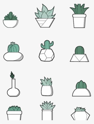 Succulent Icons By Student Kayley Sullivan Pinterest - Succulent Icon