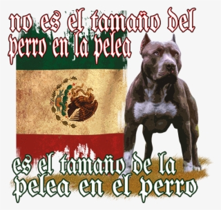 No Es El Tamano Del Perro Stock Transfer - Mexico Flag