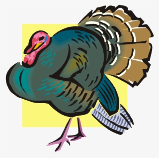 Vector Black And White Download Free - Turkey Meat