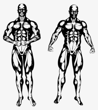 Big Image - Clip Art