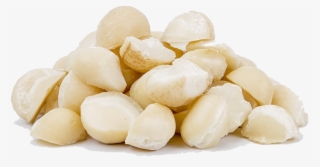 Macadamia Nuts Png Download Image - Macadamia Nuts Png