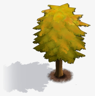 Yellow Tree - White Pine