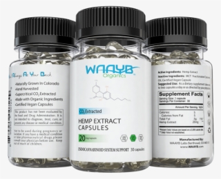 Waayb Hemp Extract Capsules - Waayb Organics