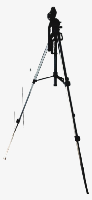 Report Abuse - Tripod