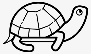 An Icon Of A Turtle Is Animal With A Head And Body