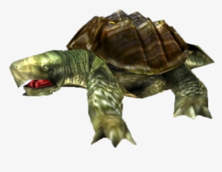 Snapping Turtle Png Transparent Images - Turtle