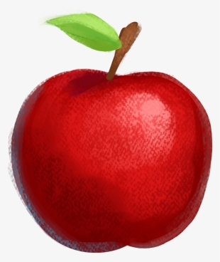 Drawn Apple Red Apple - Apple Drawing With Colour