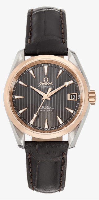 Seamaster Aqua Terra Rose Gold And Stainless Steel - Jaeger Lecoultre Compressor Gmt