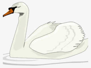 Swan Clipart Swimming - Desenhos Olhos De Cisnes
