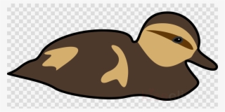 Icon Speech Bubble Transparent