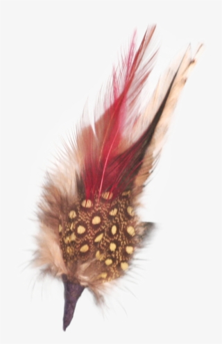 Single German Hat Feather Decor White/brown - German Hat Single Feather Decor White/brown