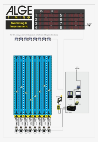 Swimming 8 Lanes - Alge Timing
