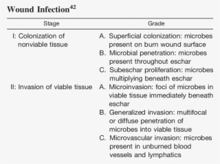 Histopathologic Classification Of Burn - Burn
